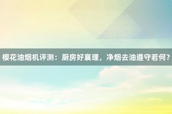 樱花油烟机评测：厨房好襄理，净烟去油遵守若何？